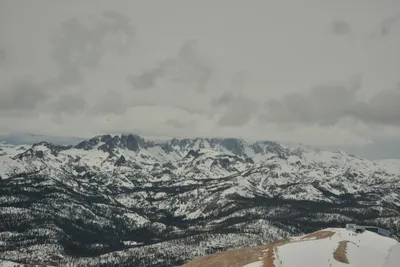 DSC_6704 (Large).JPG